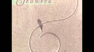 Video thumbnail of "Seaweed - Kid Candy"
