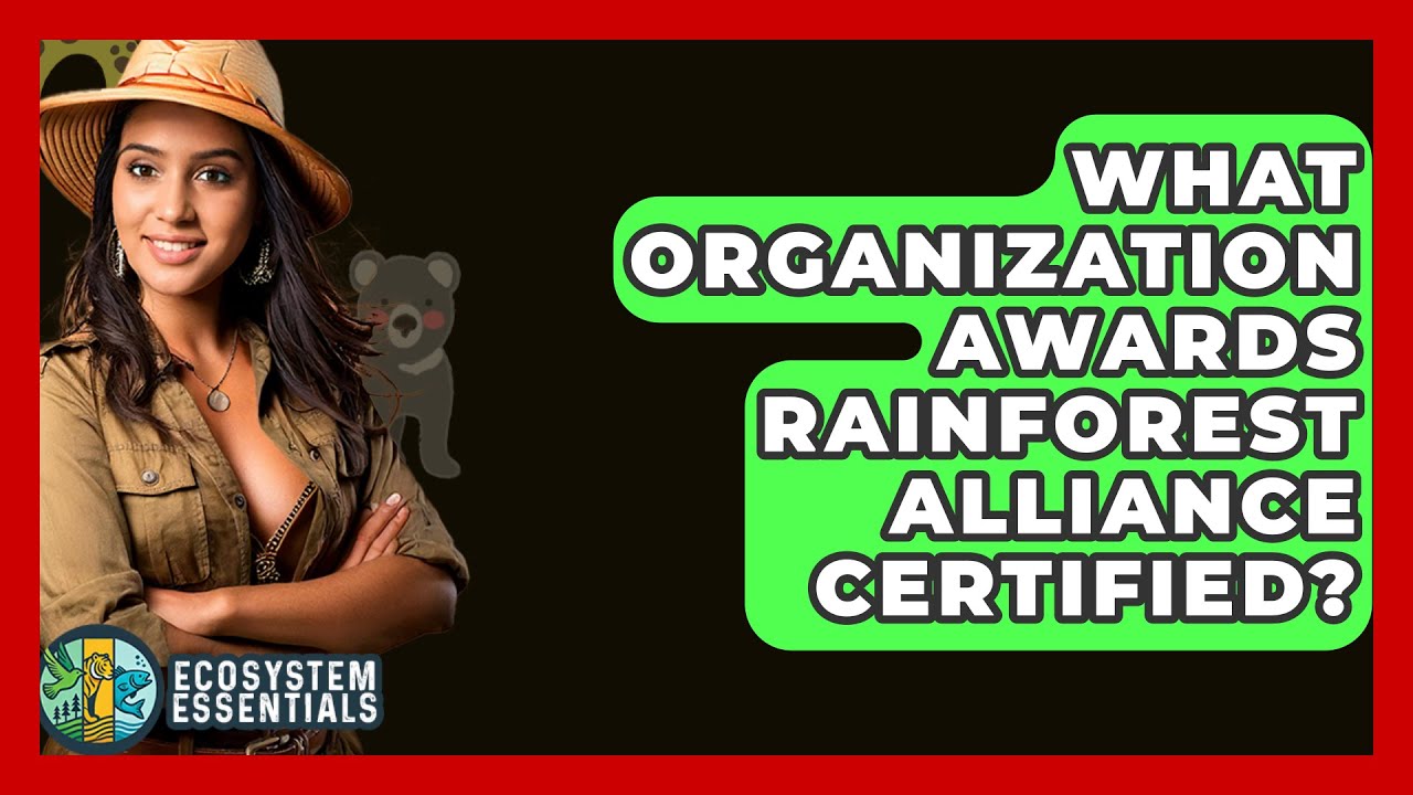 What Organization Awards Rainforest Alliance Certified? - Ecosystem Essentials