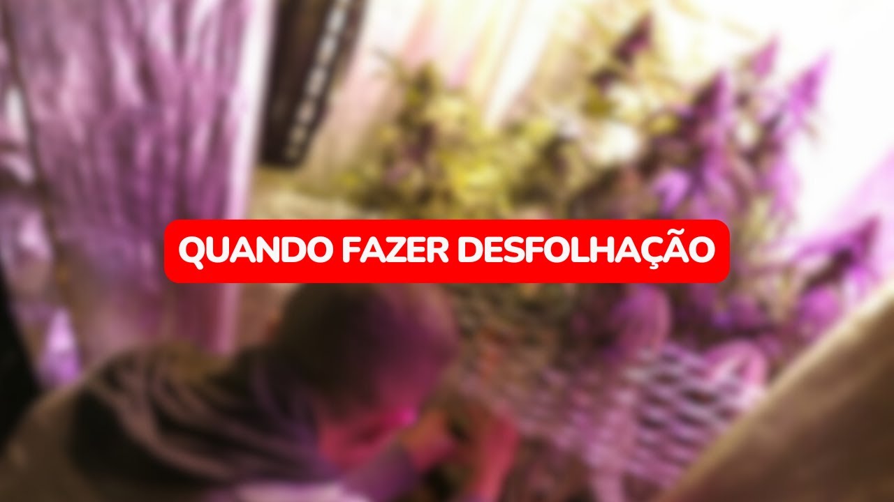 Quando fazer desfolhação