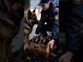 A rescue that warms the heart 🚔🐶 #police #humanity #cute #kindness