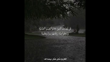 #تلاوة القارئ: مُنذِر عمَّار - رحمه الله -