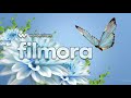 سورة القصص 1 الى 9 سورة القصص 1 الى 9