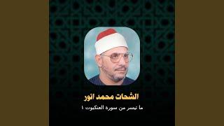 ما تيسر من سورة العنكبوت 1