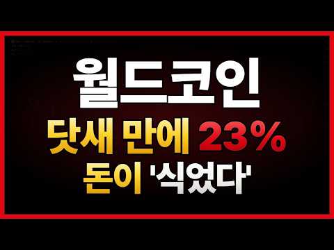 월드 닷새 동안 23퍼센트 올랐는데 거래대금이 처음으로 10분의 1이 됐습니다
