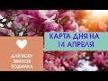 Карта дня на 14 апреля. Таро прогноз для всех знаков зодиака. События дня. Тайм-код.