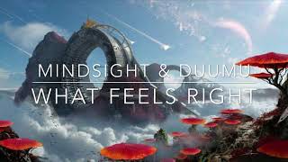 Mindisght & Duumu - What Feels Right