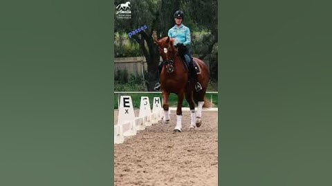 Secret to the Half-Pass