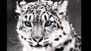 Famous Ater Amator Wealth