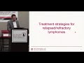 Emerging Therapies for Non Hodgkin's Lymphoma (NHL)