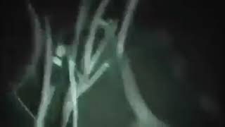 Kya Apne Nag Sap Ki Madi Dekhi Hai