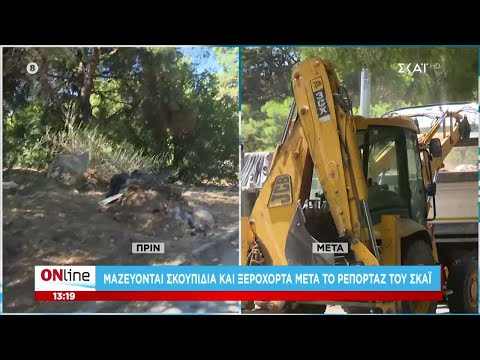 Μαζεύονται σκουπίδια και