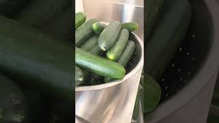 Making Pickles Today