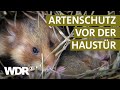 Wie Zoos zum Erhalt heimischer Arten beitragen | Theos Tierwelt (3/3) | WDR