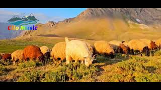 Hozan Sebih - Deşta Harane - Kürtçe Müzik Atana Kurdi Doğa Manzaralı Harika 