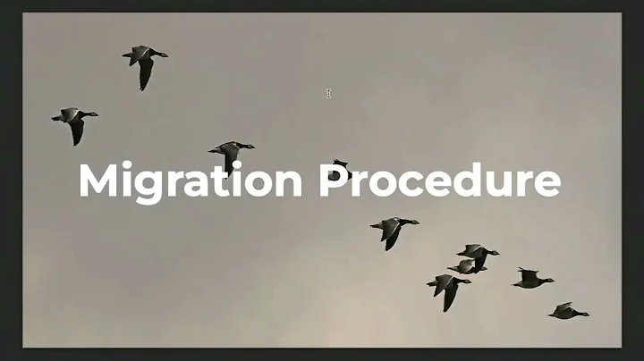 Chasing bugs in production - Manuel Arostegui, Wik...