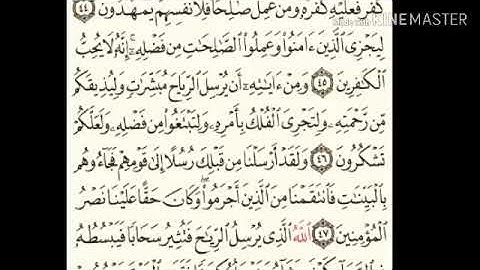 سورة الروم - من آية ( ٤٢ ) إلى آية ( ٥٠ ) - للقارئ : ماهر المعيقلي .