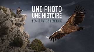 Dans le sillage des grands vautours fauves | Une photo une histoire | épisode 7 [ partie1 ]