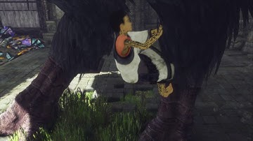 The Last Guardian - Part 5 Bridges and Glass Eyes: Two Glass Eyes Puzzle Trico Trap (Smash w Helmet)