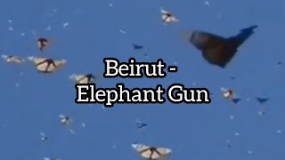 Beirut - Elephant Gun [tradução]