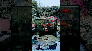 Inverted aquarium in fish pond