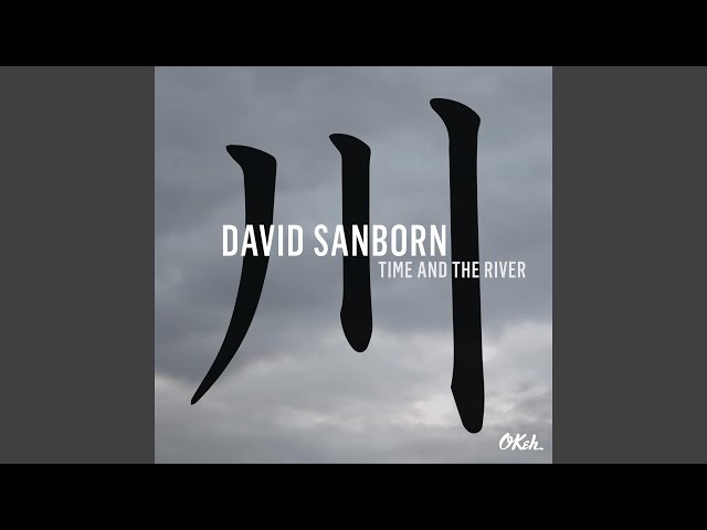 David Sanborn - Ordinary People