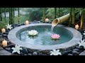 Beautiful Relaxing Music to Stop Overthinking | Calming Water Sounds for Stress Relief & Deep Sleep