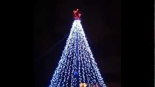 2011 Mega Tree