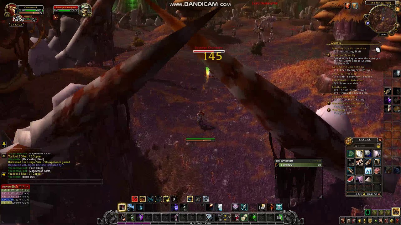 Red Paths Shield Wow Marauders Of Darrowshire | The Battle of Darrowshire (quest) – FXEN
