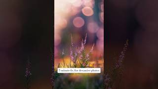 Try this 5-minute fix for dreamier photos ☀️ Try this 5-minute fix for dreamier photos ☀️