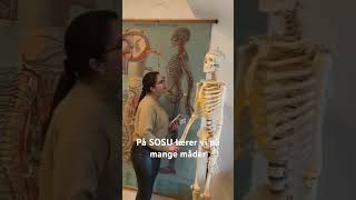 På SOSU lærer vi på mange forskellige måder - f.ex. på vores mange Læringsstationer