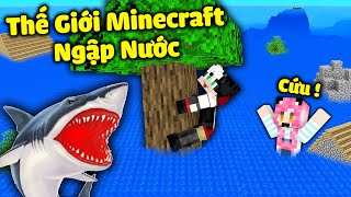 REDHOOD THỬ THÁCH SINH TỒN KHI MINECRAFT NGẬP NƯỚC*1 NGÀY MỀU SỐNG TRÊN MẶT NƯỚC TRONG MINECRAFT