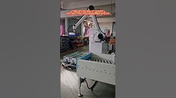 This guy standing on a palletizing robot arm? Unbelievable! 😱😱#demo #palletizerrobot #robotics