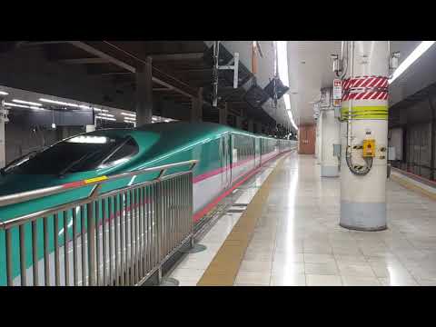 E5系はやぶさ号+E6系こまち号東京行き 上野発車