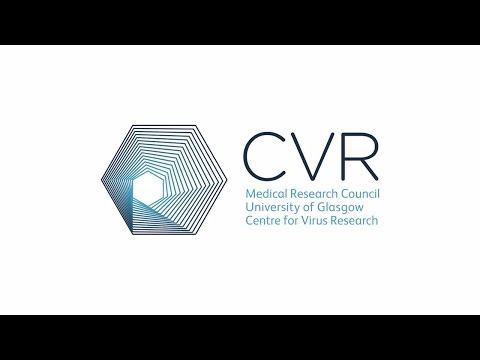 CVR - a history of virology in Glasgow