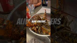 Seafood- Lobsters for Dinner #seafood