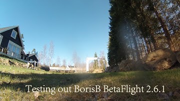 Testing out BorisB Betaflight 2.6.1