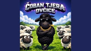 Čoban tjera ovčice