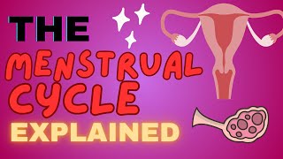 The Menstrual Cycle Explained - 4 PHASES OF MENSTRUAL CYCLE MADE EASY!