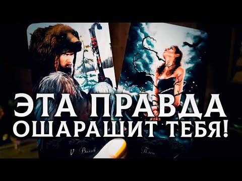 Эта правда тебя ошарашит! От чего отвел тебя твой род?