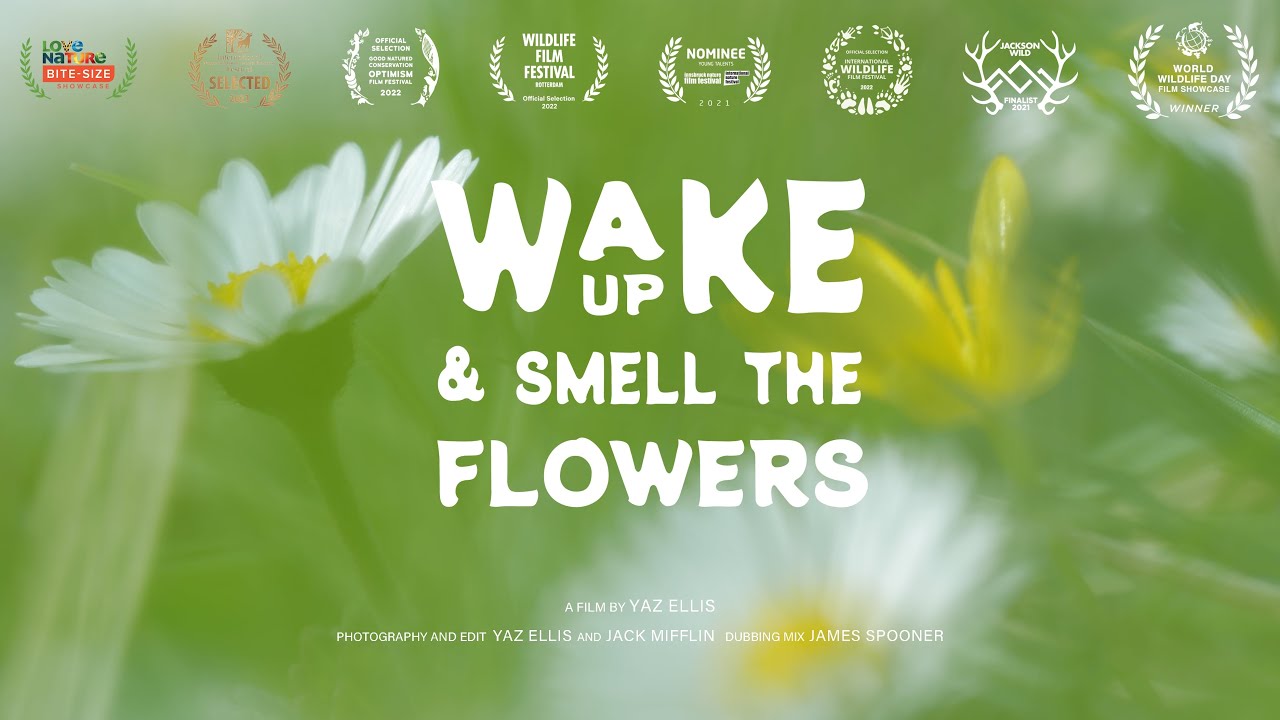 European Ground Squirrels enjoy a flower feast | Full short film | World Wildlife Day Winner