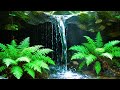 Nature’s Grotto | Steady Waterfall on Lush Ferns with Forest Wildlife | Calming Waterflow [4K UHD]
