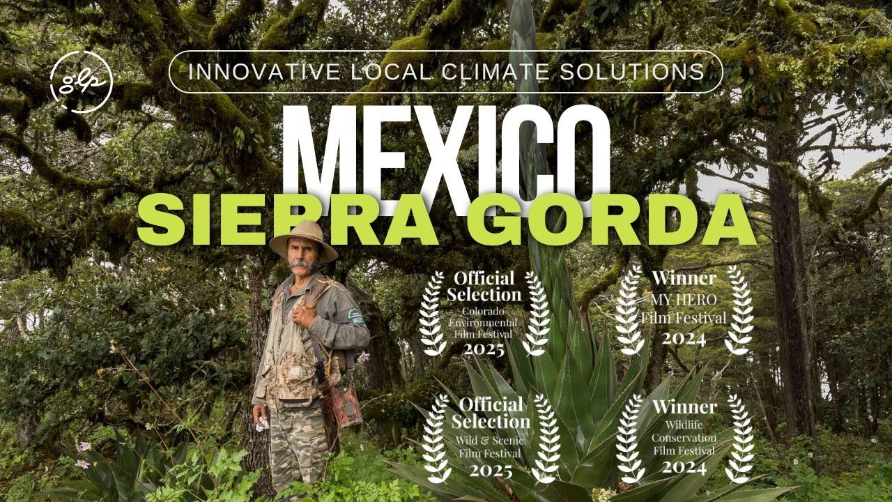 Discover How Sierra Gorda is Leading the Way in Local Climate Solutions