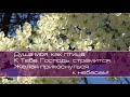 Христианское поклонение. Сборник №99