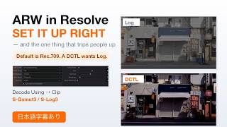 Resolve Develops Photo RAW Now — And Your DCTLs Work On It[ English & 日本語あり ]