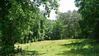 $257,500 3BR 2BA in GERMANTON 27019.  Call  Lou Jewell ALC: (336) 669-1405