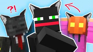 Live Verity Cast Are CATBOYS Station Image