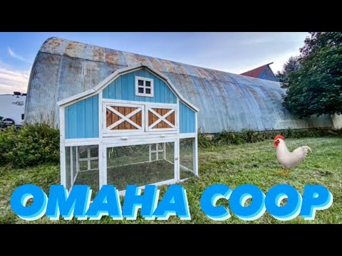 OMAHA CHICKEN COOP BARN 🐓 | First Look Assembled &amp; Barn Kittens!