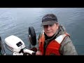 Big Alaskan Halibut