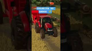Colheita do arroz 🌾 #fs25 #fs25gameplay #fs25roleplay