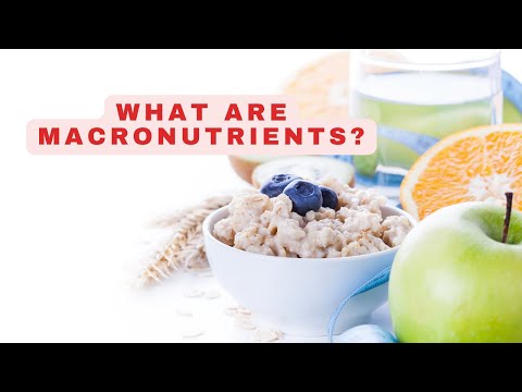 What Are Macronutrients? | Macros Explained